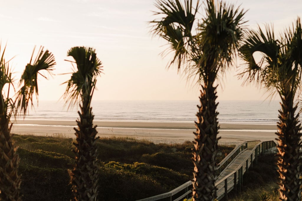 A kiawah boardwalk to the beach viewed through palm trees